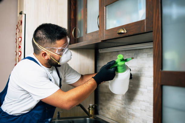 Best Wildlife Control Services  in Arrowhead Beach, NC