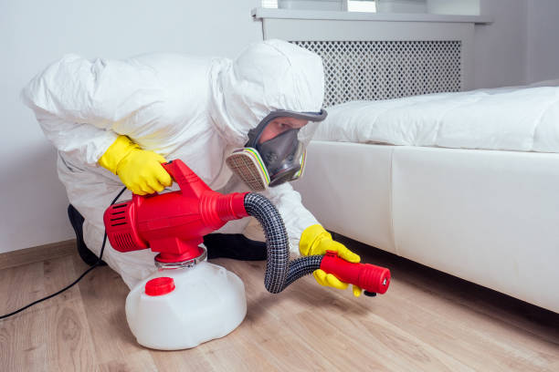 Wasp Removal Services in Arrowhead Beach, NC